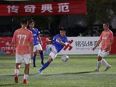 湖南洞庭队全队齐心协力为夺冠努力拼搏的简单介绍
