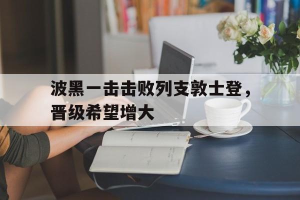 波黑一击击败列支敦士登，晋级希望增大的简单介绍