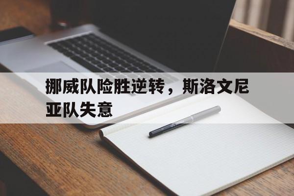 挪威队险胜逆转，斯洛文尼亚队失意